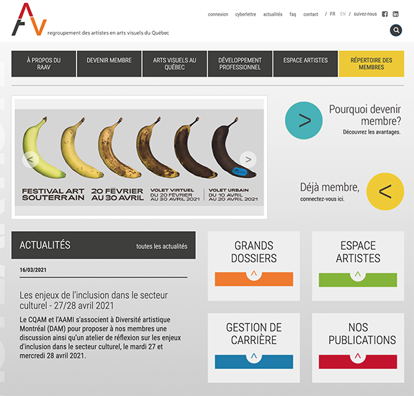 Aperçu (archive) du site raav.org